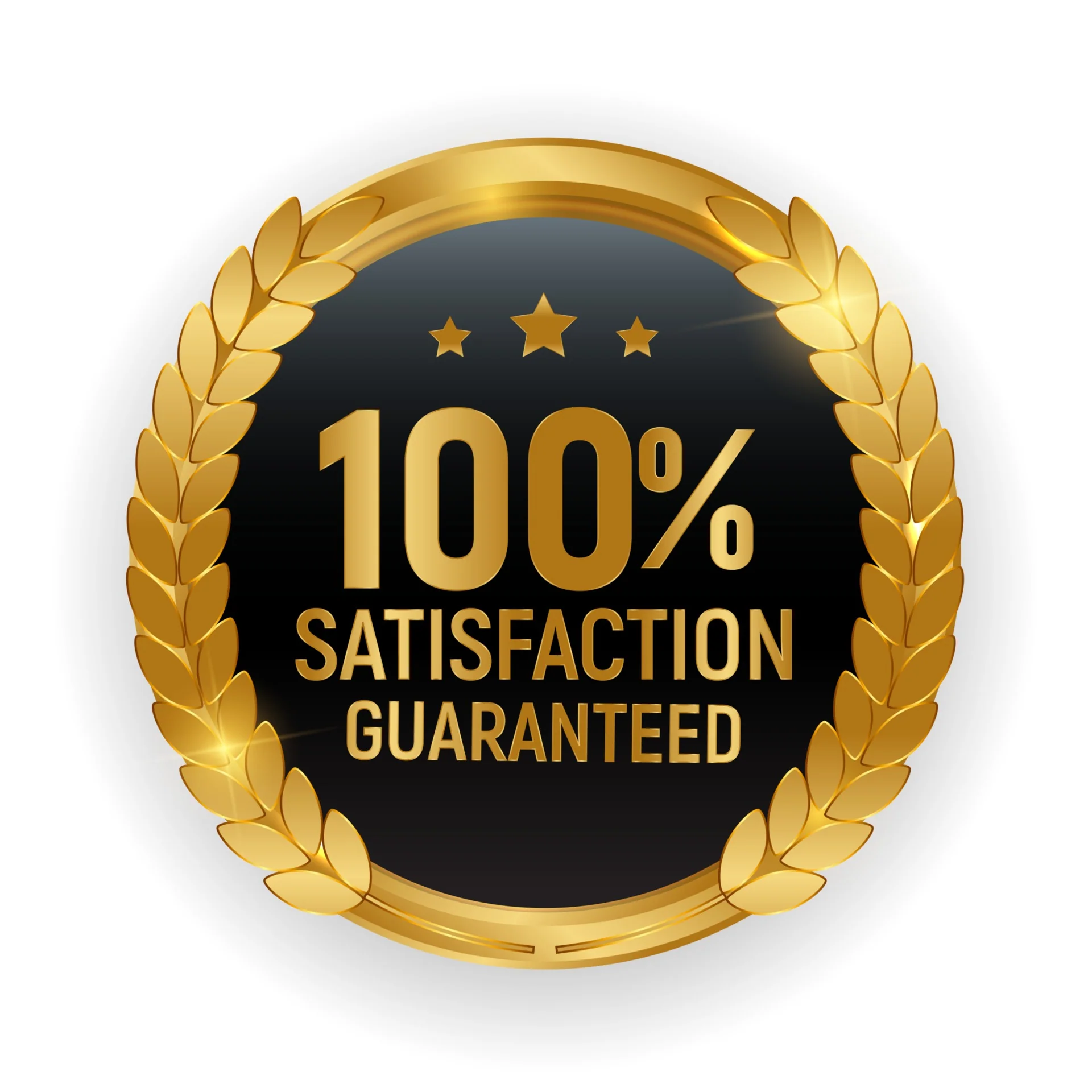 BDS 10 in 1 Dog Food Supplement - Image 3